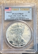 2006-P $1 Eagle-20th Anniv. Rev Pr First Strike PR69
