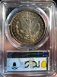 1878 8TF $1 MS64
