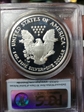 2006-W $1 Eagle-20th Anniversary First Strike PR70DCAM