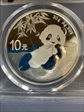2020(S) 10 Yn Panda Silver Struck at Shanghai Mint MS70