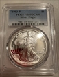 1993-P $1 Silver Eagle PR69DCAM