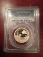 2019-S $1 Native American PR70DCAM