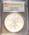 2014 $1 Silver Eagle MS70
