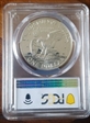 1973-S $1 Silver PR69DCAM