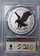 2021-S $1 Silver Eagle Rev PR - Type 2 Designer Edition - First Strike PR70