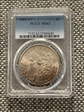 1884-CC $1 MS63