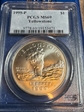 1999-P $1 Yellowstone MS69