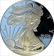 2013-W $1 Silver Eagle First Strike PR70DCAM