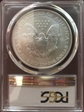 2006-W $1 Burnished Silver Eagle SP70