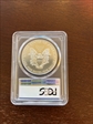 2018 $1 Silver Eagle First Strike MS70