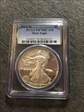 2013-W $1 Silver Eagle PR70DCAM