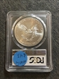 2013-(W) $1 Silver Eagle Struck at West Point MS69