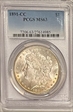 1891-CC $1 MS63