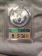 1989 $1 Silver Eagle MS69