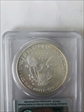 2007-W $1 Burnished Silver Eagle First Strike SP70