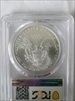 2008 $1 Silver Eagle MS70