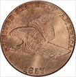 1857 1C Flying Eagle MS66+