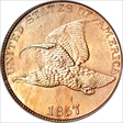 1857 1C Flying Eagle MS64