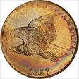1857 1C Flying Eagle MS64+ 