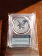2021-S $1 Silver Eagle Rev PR - Type 2 Designer Edition - First Strike PR70
