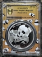 2019 10 Yn Panda Silver Panda 2023 Yellow Lbl. MS70