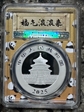 2025 10 Yn Panda Silver Panda 2023 Yellow Lbl. (L#355) MS70