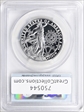 2013-W $100 Statue of Liberty First Strike PR70DCAM