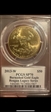 2013-W $50 Burnished Gold Eagle Michael Reagan SP70