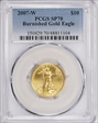 2007-W $10 Burnished Gold Eagle SP70