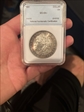1891 $1 Morgan Dollar MS64+
