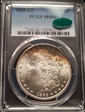 1885-CC $1 MS66+
