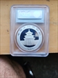 2008 10 Yn Panda Silver PAN-409A First Strike MS70