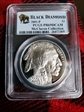 2001-P $1 Buffalo PR69DCAM