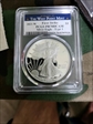 2021-W  $1 Silver Eagle - Type 1 First Strike PR70DCAM