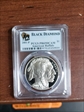 2001-P $1 Buffalo PR69DCAM