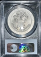 2008-P $1 Bald Eagle MS70