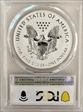 2021-W $1 Silver Eagle Rev PR - Type 1 Designer Edition PR69