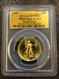 2009 $20 Ultra High Relief MS70PL