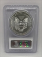 2014 $1 Silver Eagle MS70