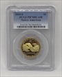 2010-S $1 Native American PR70DCAM