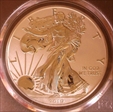 2019-W $1 Silver Eagle Enhanced Rev PR Pride of Two Nations, U.S. Set FDI Black Shield PR70