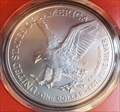 2023-W $1 Burnished Silver Eagle First Day of Issue SP70