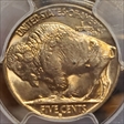 1938-D 5C Buffalo MS65