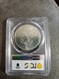 1971-S $1 Silver MS66