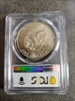 1973-S $1 Silver MS66