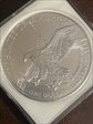 2022 $1 Silver Eagle MS69/70