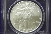 2007-W $1 Burnished Silver Eagle First Strike SP69