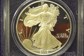 2002-W $1 Silver Eagle PR69DCAM