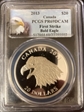2013 $20 Bald Eagle  First Strike PR69DCAM