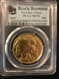 2022 $50 American Buffalo .9999 Fine Gold First Day of Issue MS70